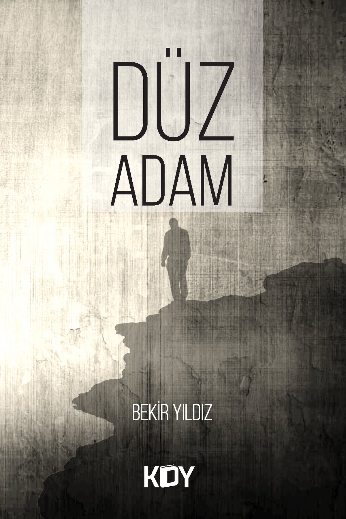 Düz Adam - Bekir Yıldız kitap kapağı
