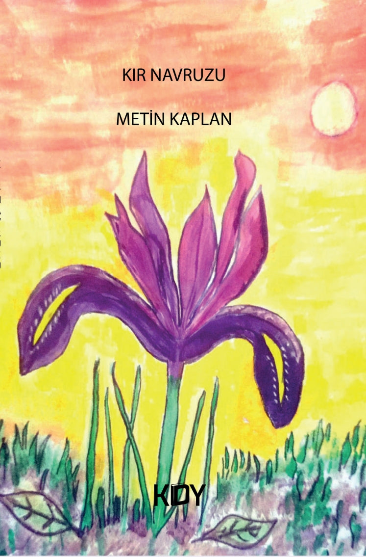 Kır Navruzu - Metin Kaplan kitap kapağı