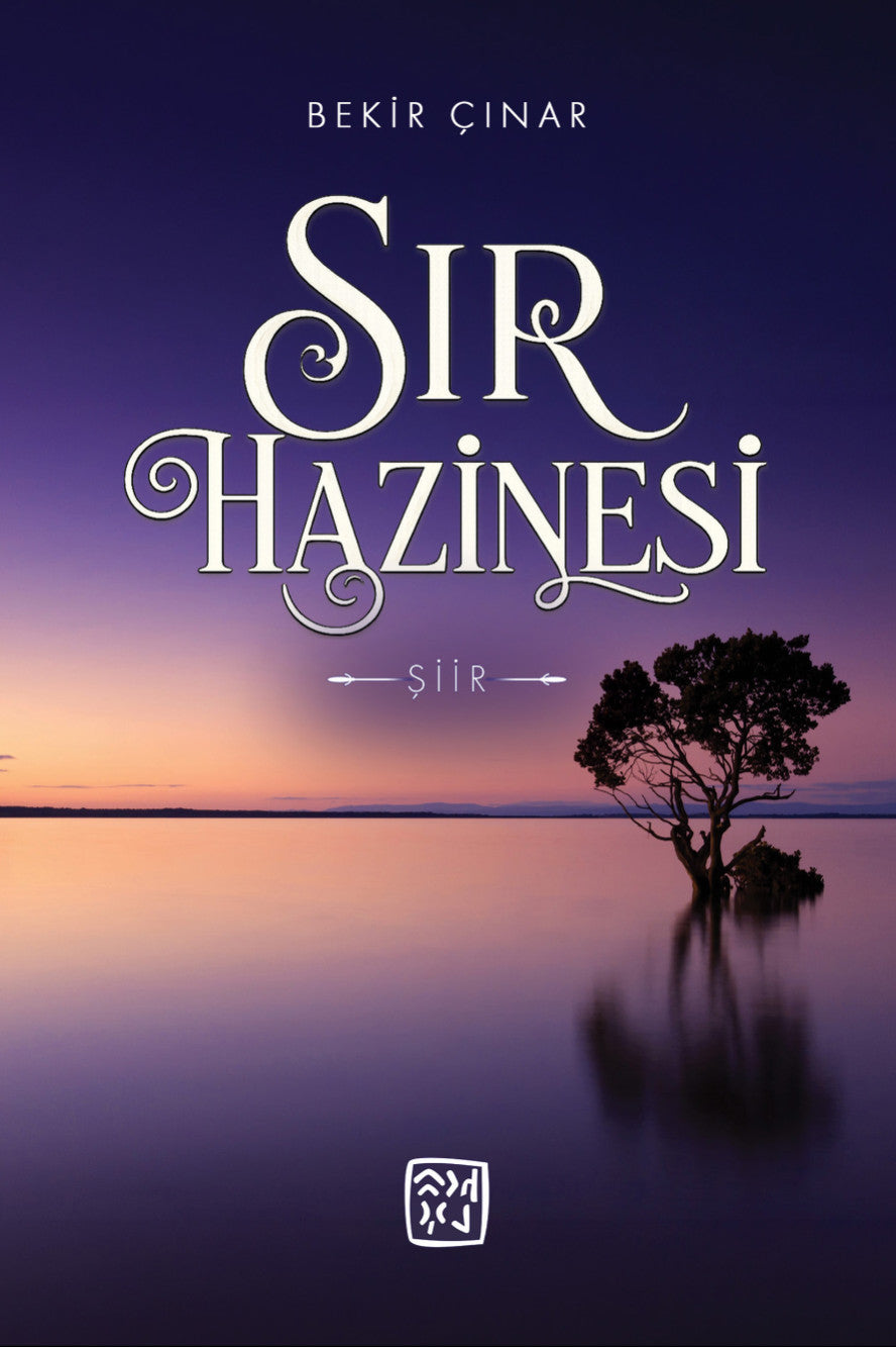 Sır Hazinesi - Bekir Çınar kitap kapağı