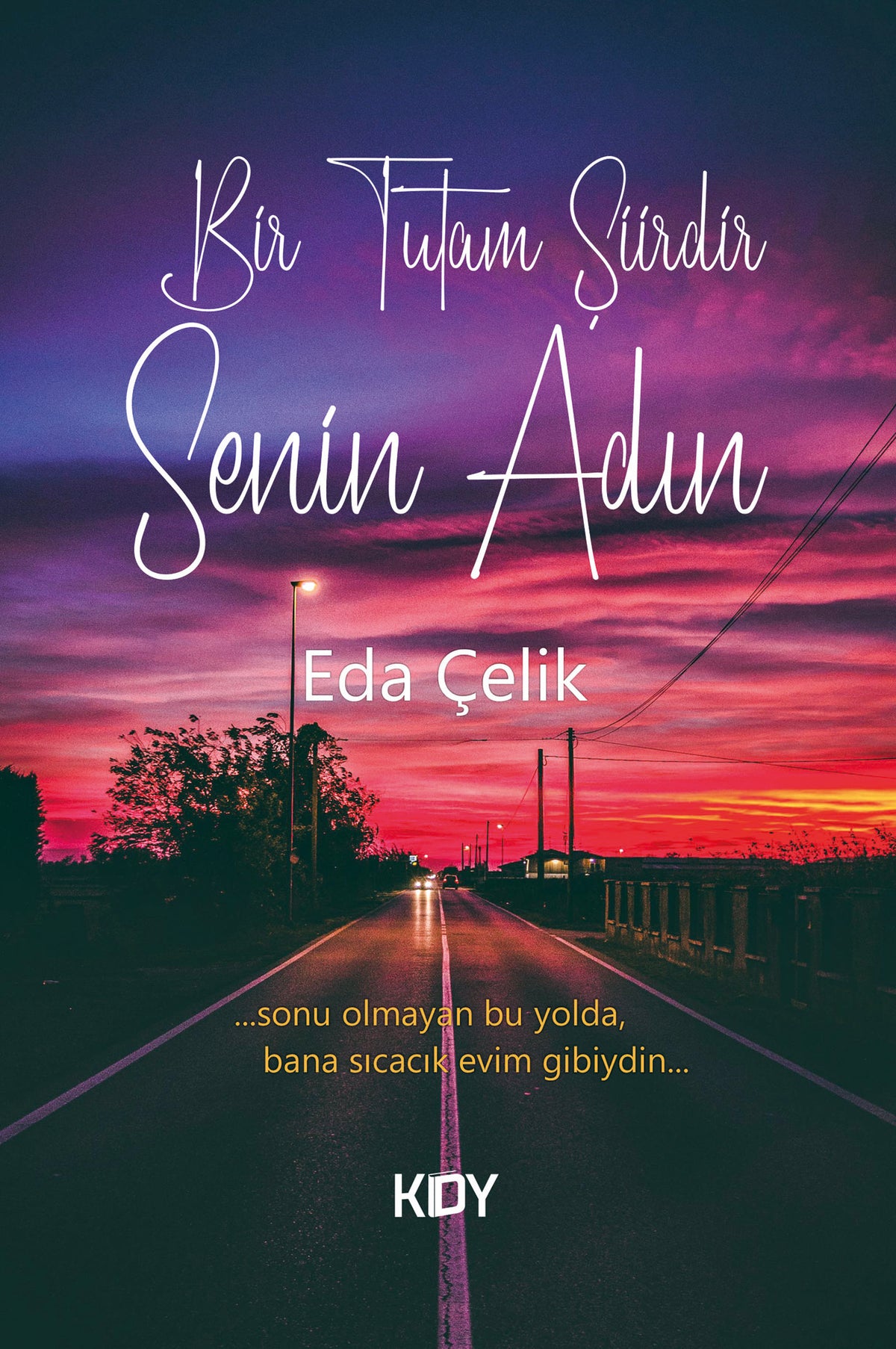 Bir Tutam Şiirdir Senin Adın - Eda Çelik kitap kapağı