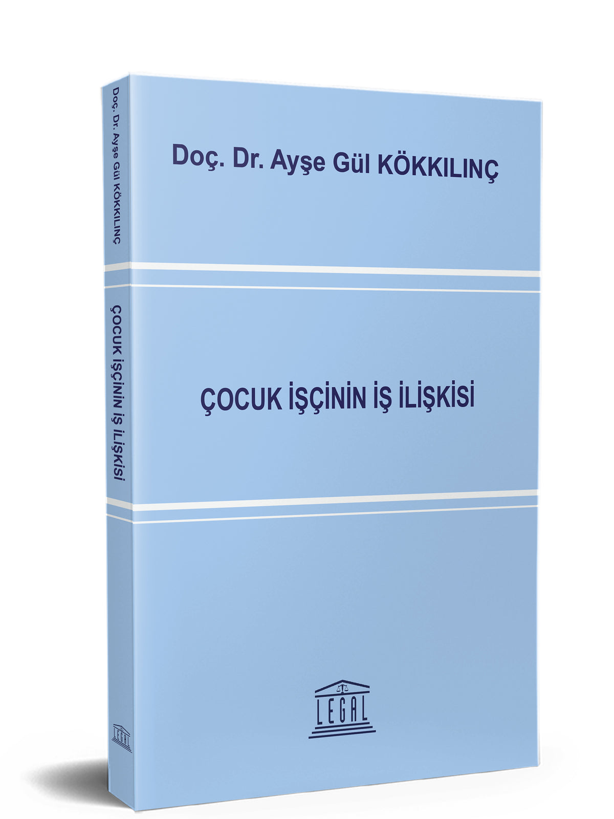Çocuk İşçinin İş İlişkisi - Ayşe Gül Kökkılınç kitap kapağı