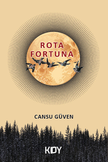 Rota Fortuna - Cansu Güven kitap kapağı