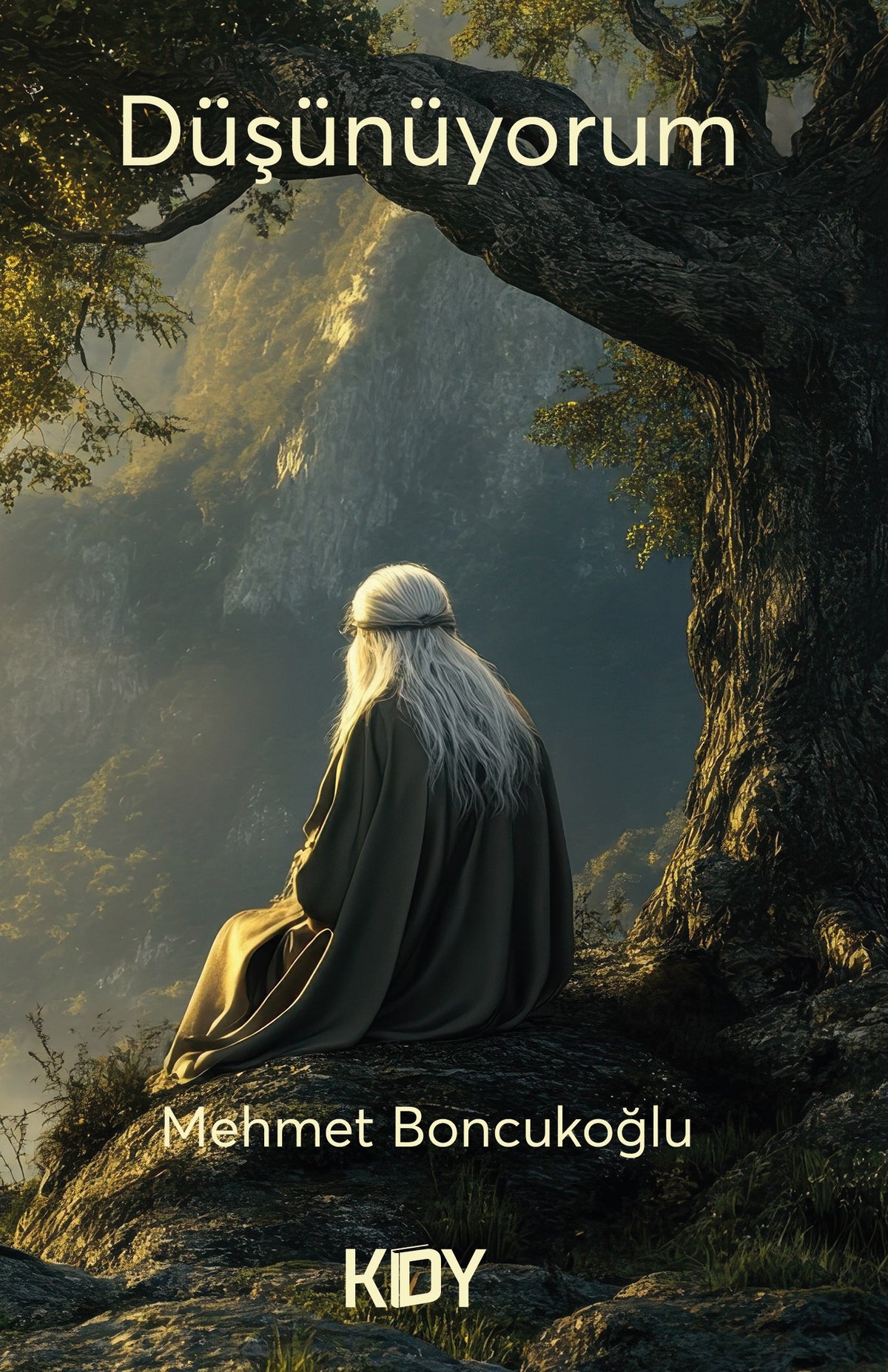 Düşünüyorum - Mehmet Boncukoğlu kitap kapağı