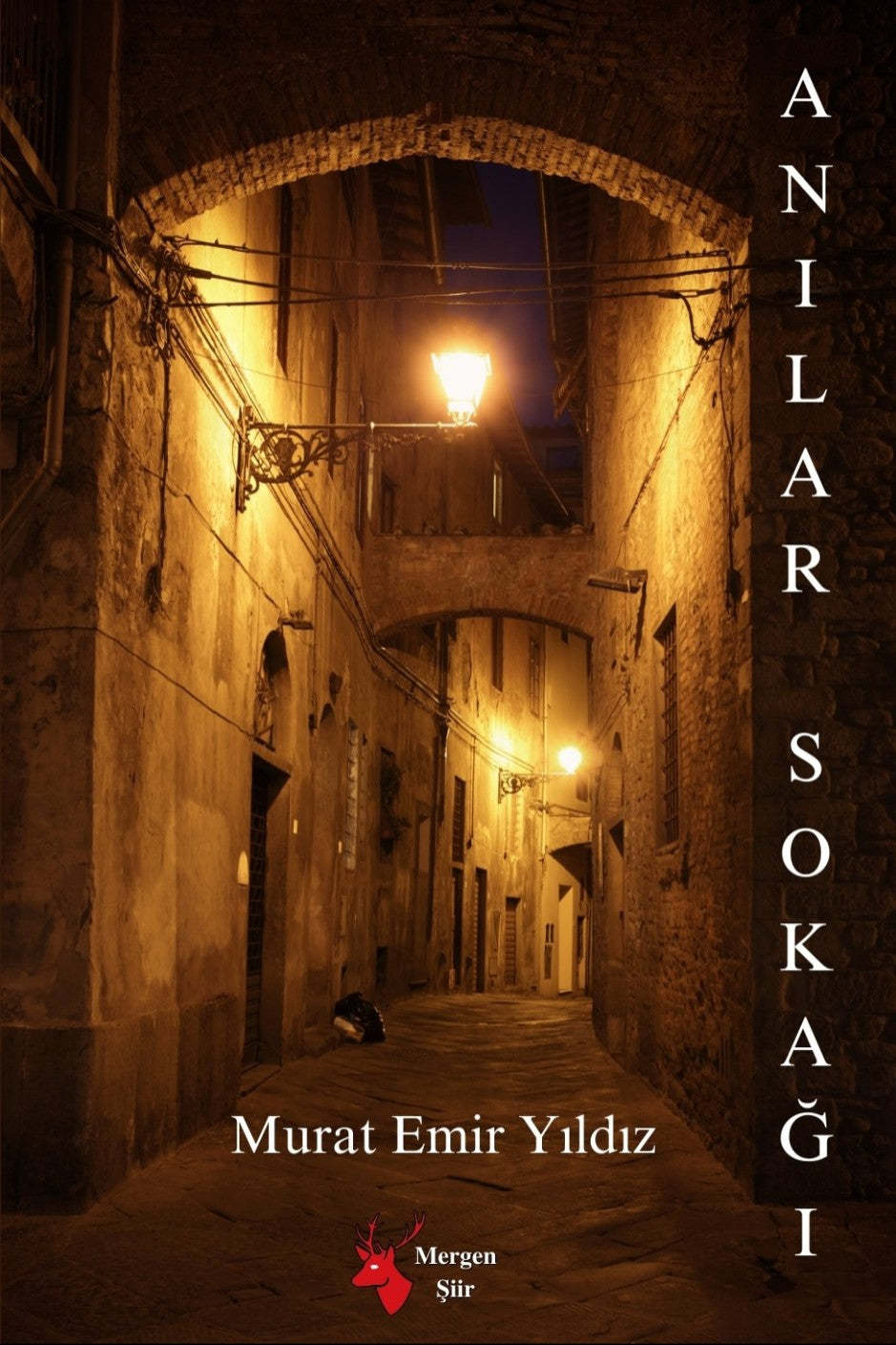 Anılar Sokağı - Murat Emir Yıldız kitap kapağı
