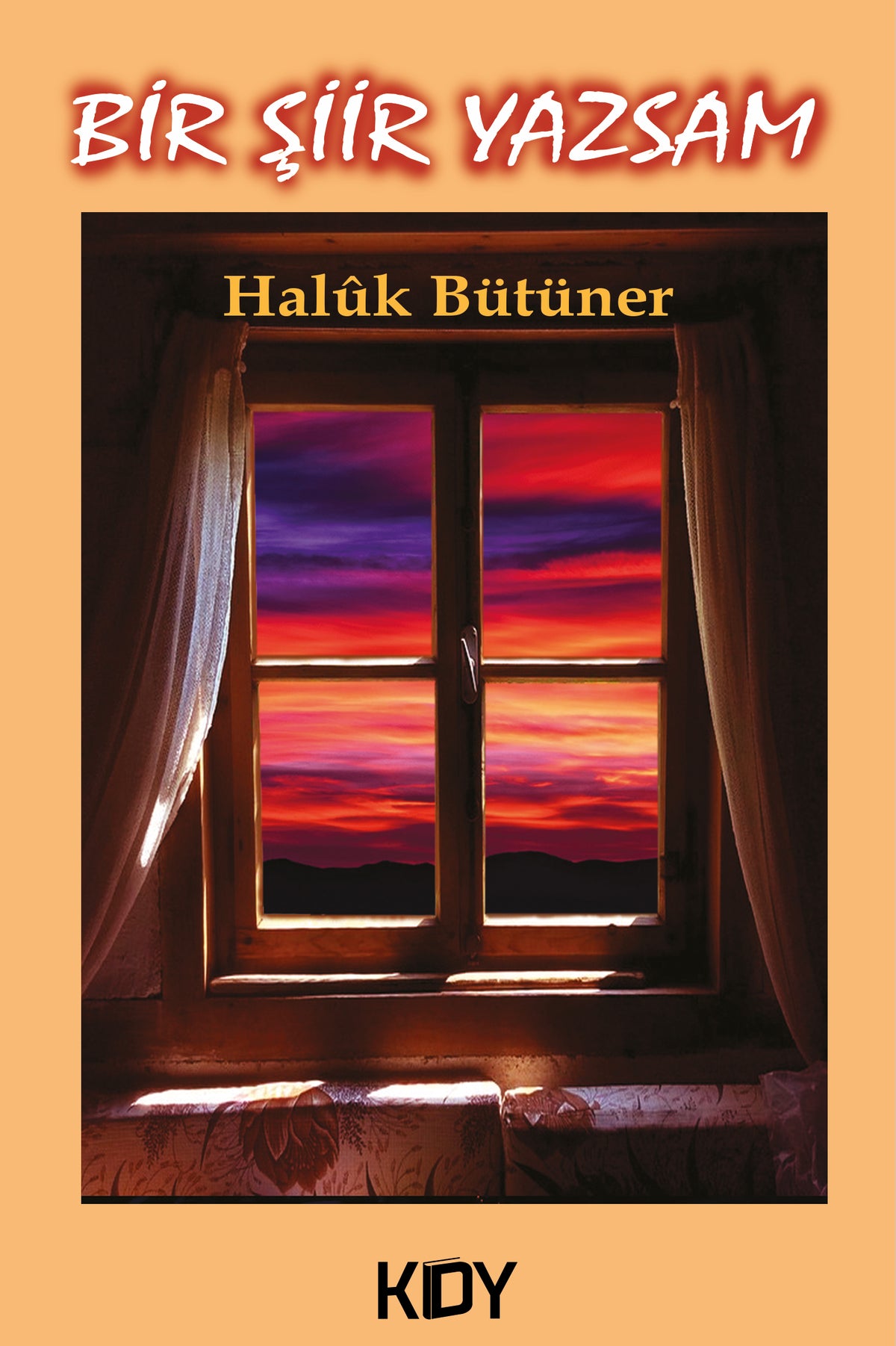 Bir Şiir Yazsam - Haluk Bütüner kitap kapağı