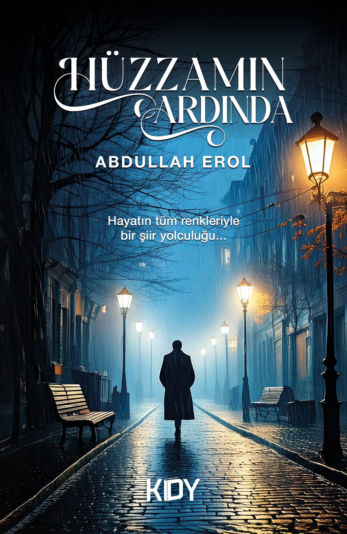 Hüzzamın Ardında - Abdullah Erol kitap kapağı