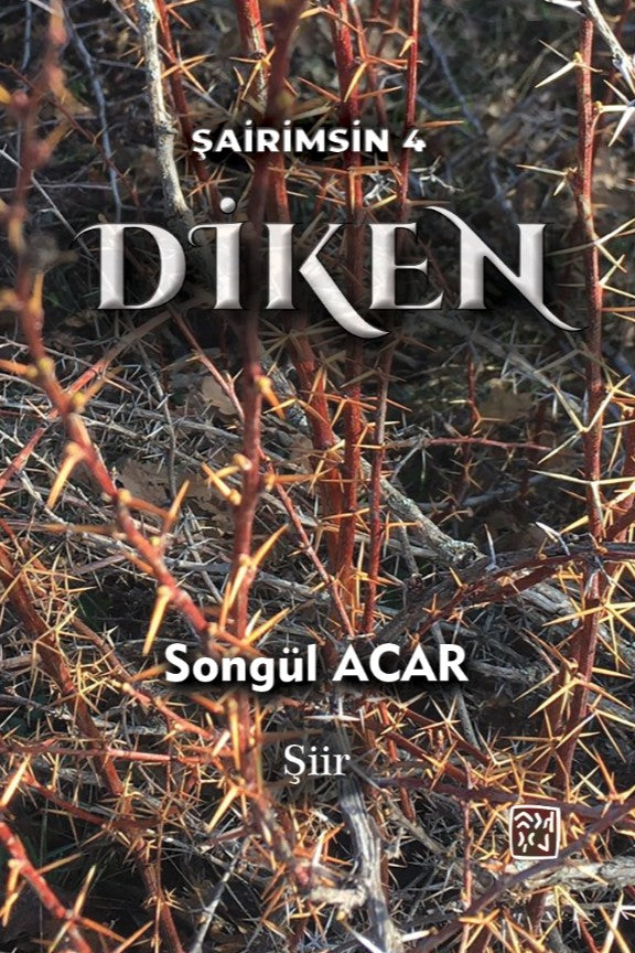 Diken - Songül Acar kitap kapağı