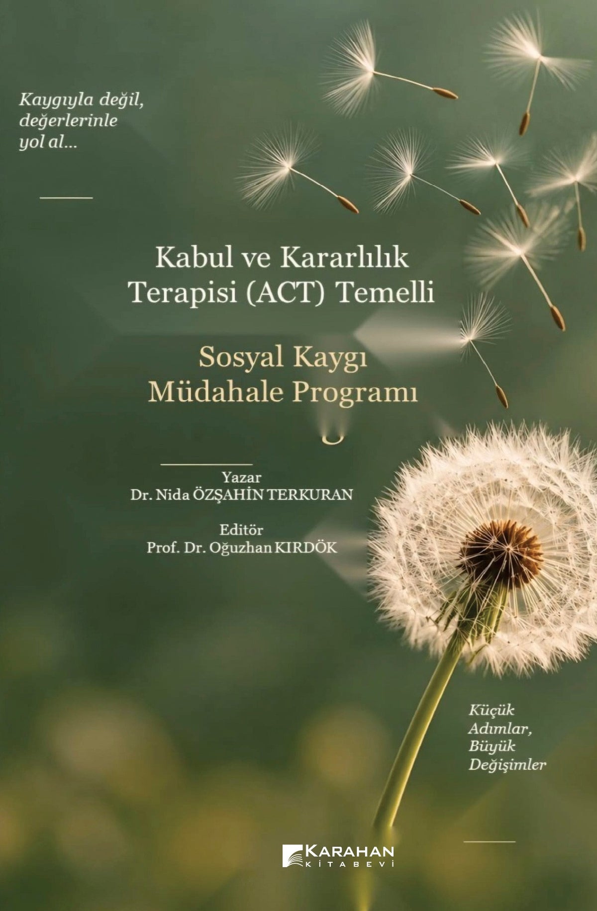 Kabul ve Kararlılık Terapisi (ACT) Temelli - Nida Özşahin Terkuran kitap kapağı