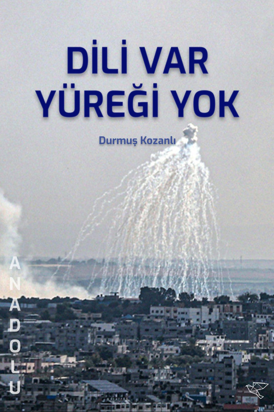 Dili Var Yüreği Yok - Durmuş Kozanlı kitap kapağı
