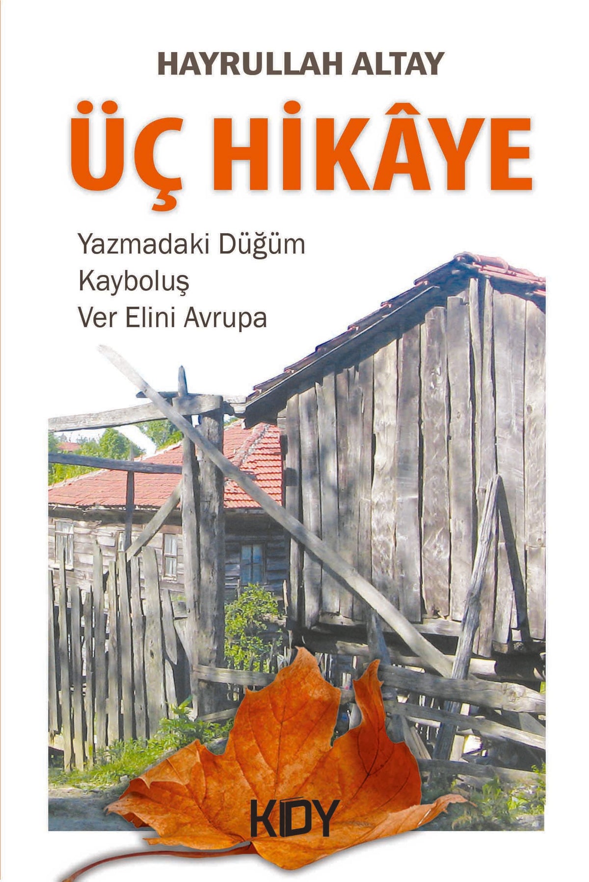 Üç Hikaye - Hayrullah Altay kitap kapağı