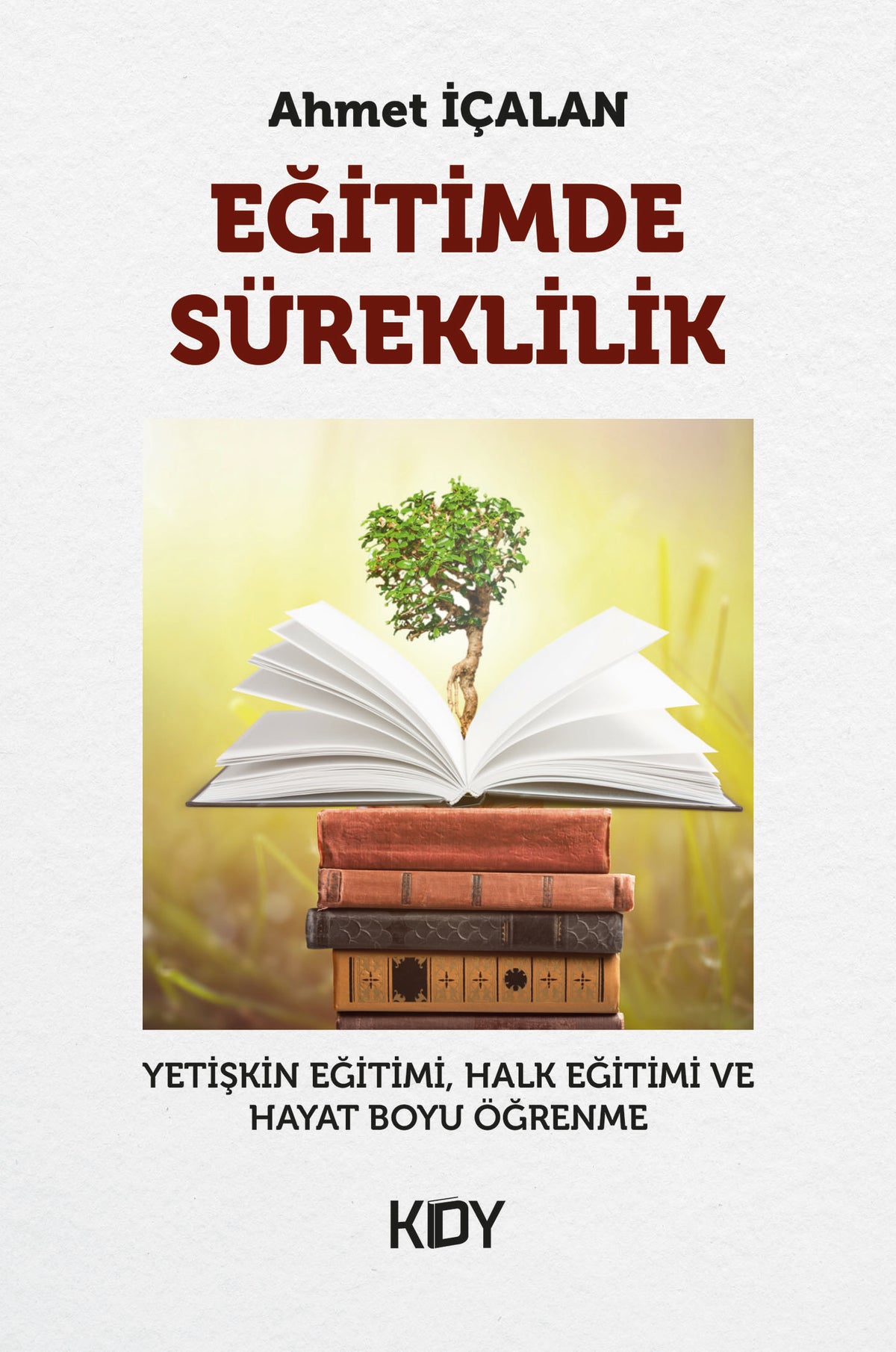 Eğitimde Süreklilik - Ahmet İçalan kitap kapağı