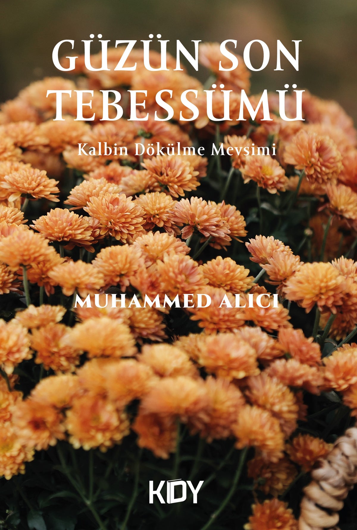 Güzün Son Tebessümü - Muhammed Alıcı kitap kapağı