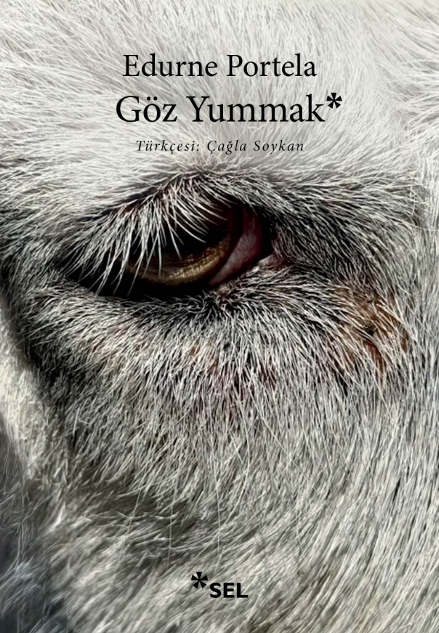 Göz Yummak - Edurne Portela kitap kapağı