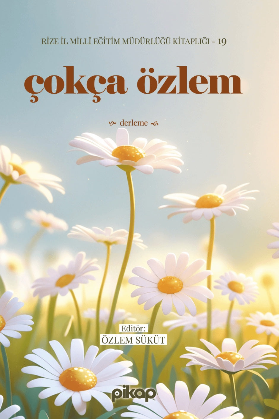 Çokça Özlem - Özlem Süküt kitap kapağı