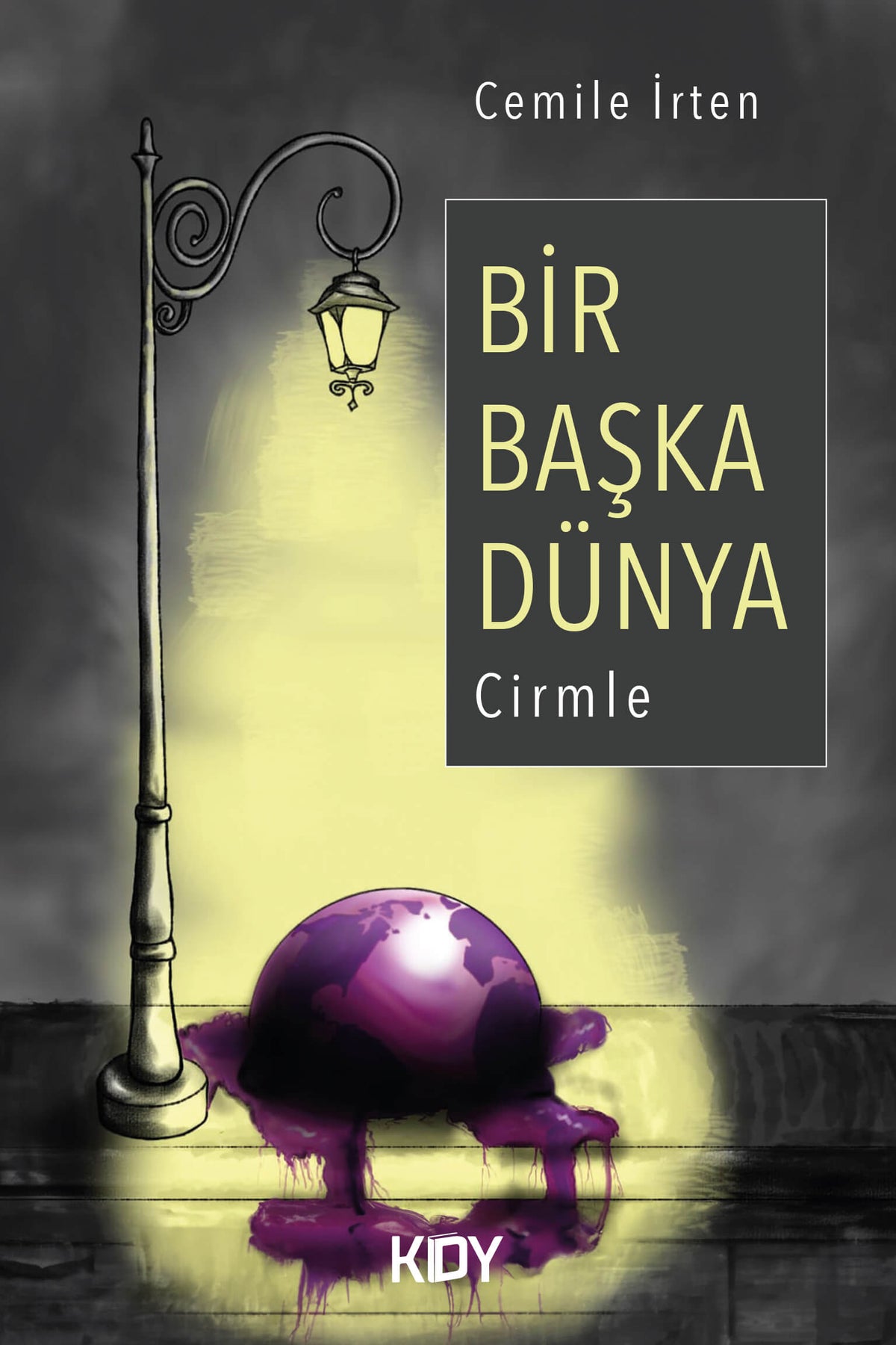 Bir Başka Dünya - Cemile İrten kitap kapağı
