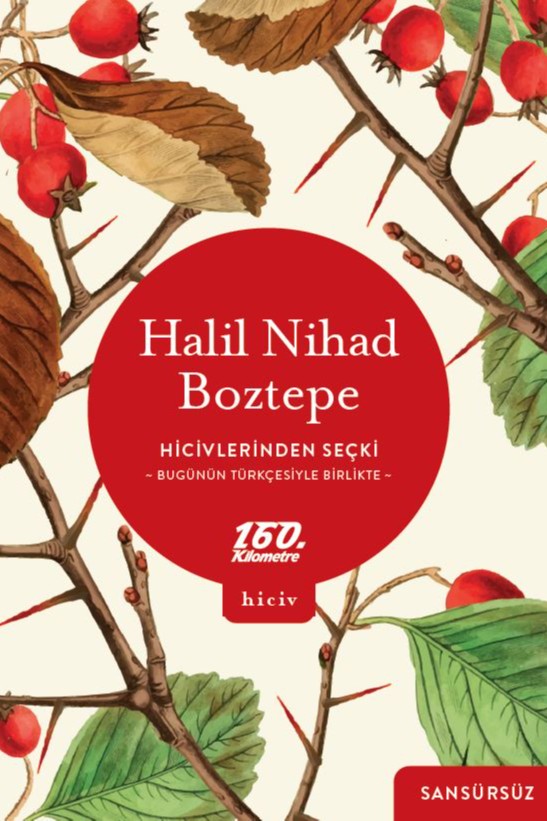 Hicivlerinden Seçki Bugünün Türkçesiyle Birlikte Sansürsüz - Halil Nihat Boztepe kitap kapağı
