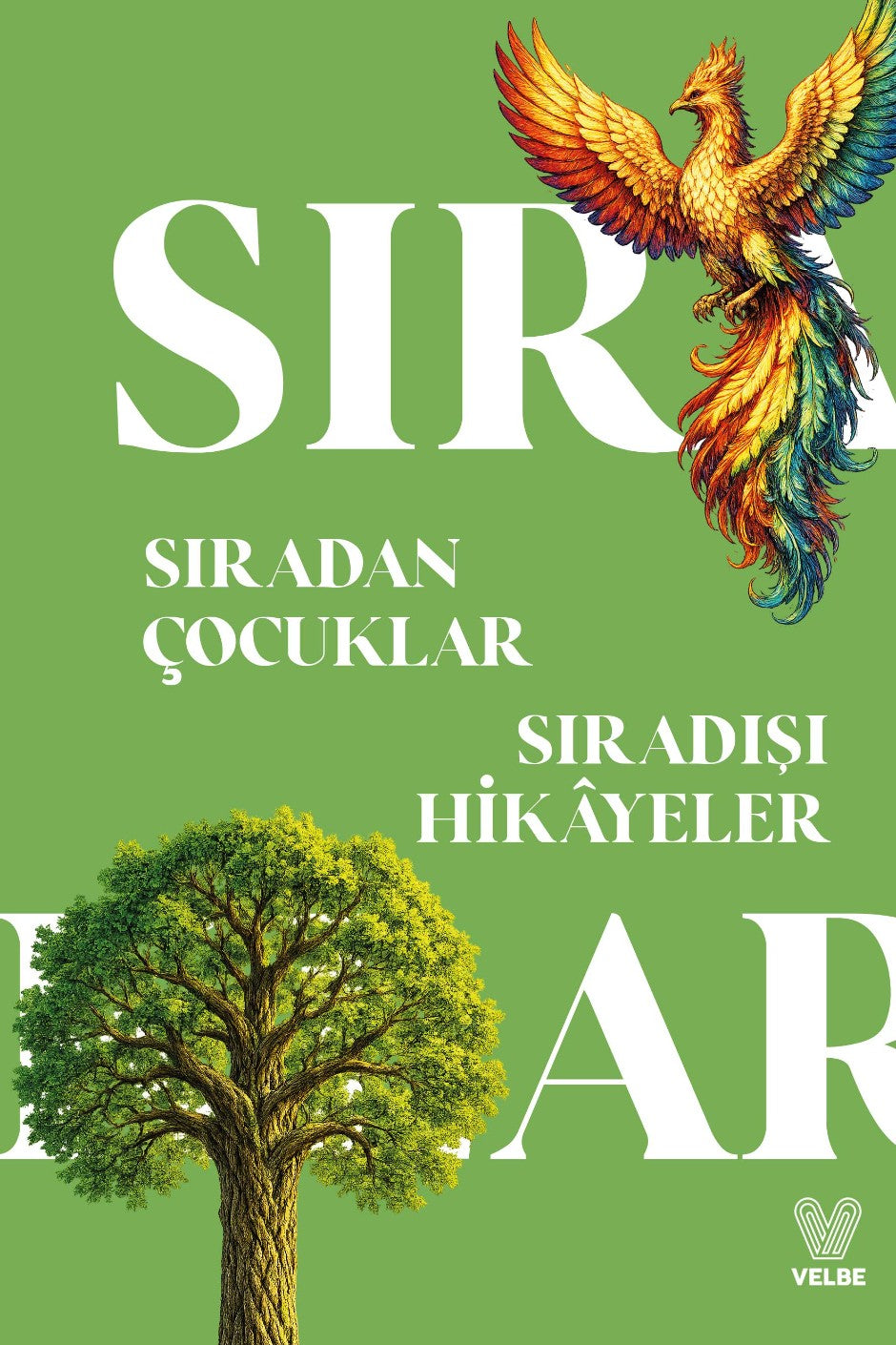 Sıradan Çocuklar Sıradışı Hikayeler - Selim Somuncu kitap kapağı
