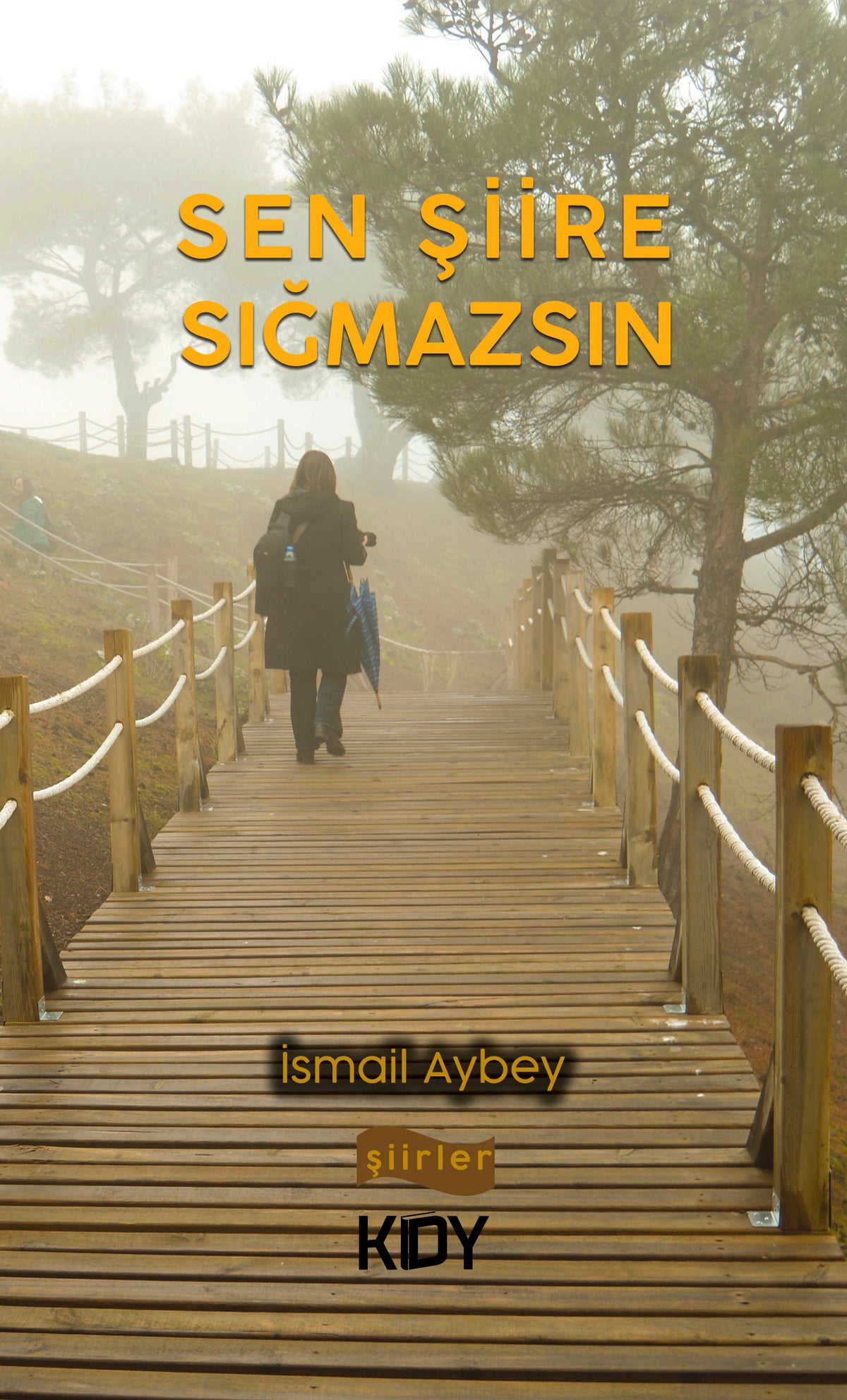 Sen Şiire Sığmazsın - İsmail Aybey kitap kapağı