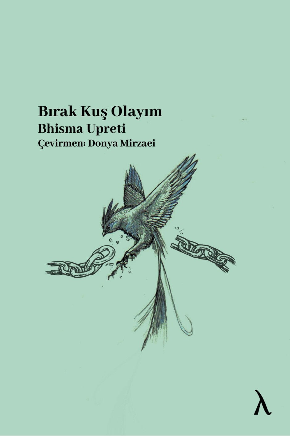 Bırak Kuş Olayım - Bhisma Upreti kitap kapağı