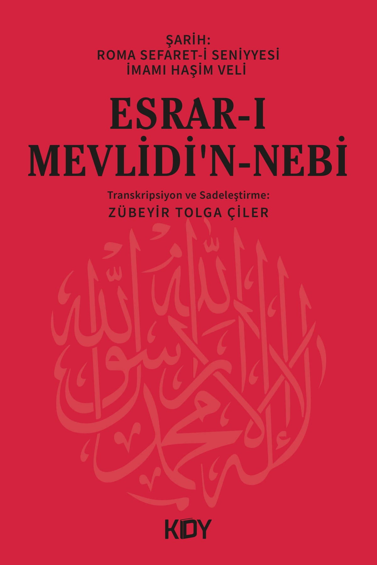 Esrar-ı Mevlidi'n-Nebi - Zübeyir Tolga Çiler kitap kapağı