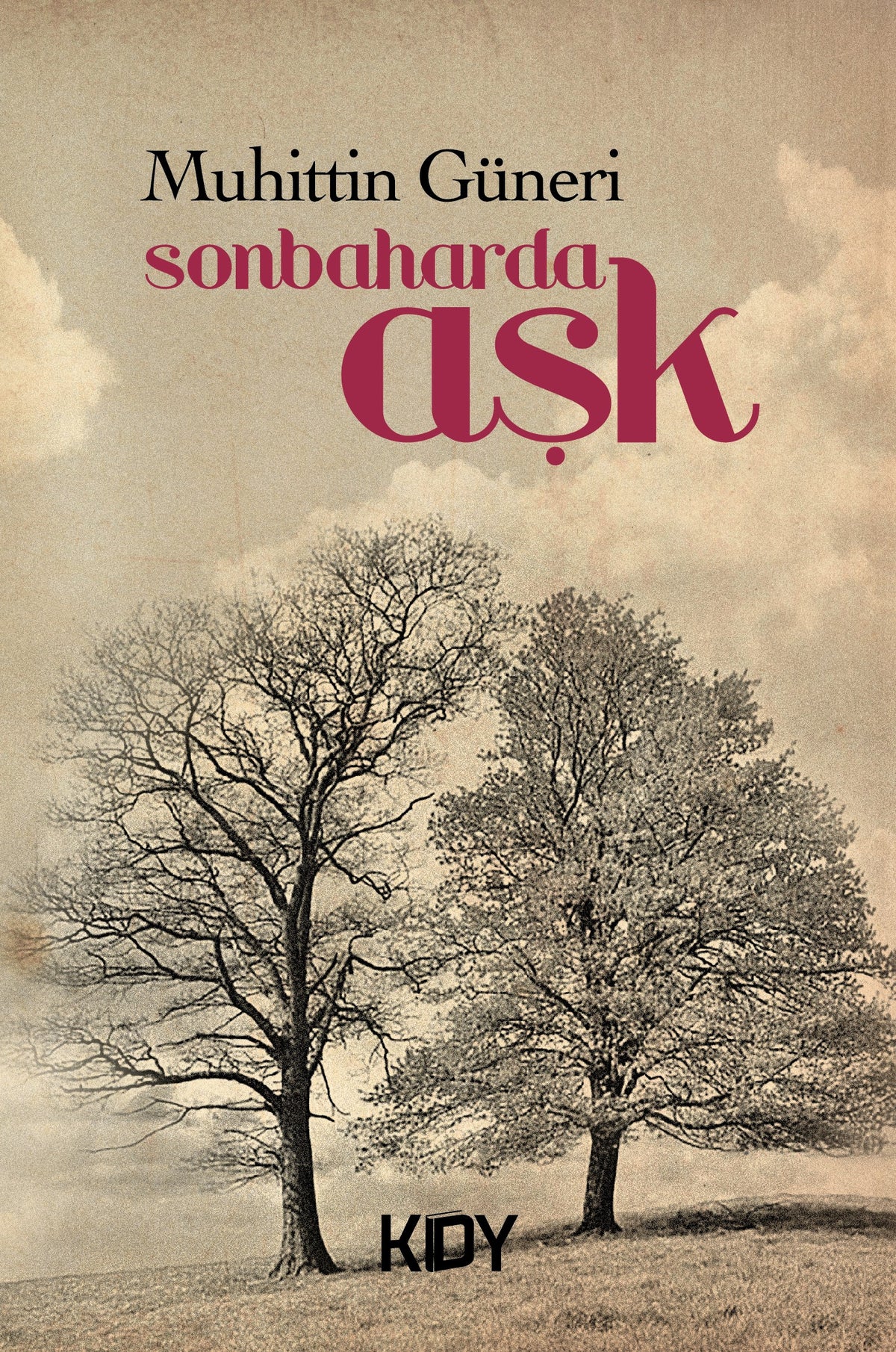 Sonbaharda Aşk - Muhittin Güneri kitap kapağı