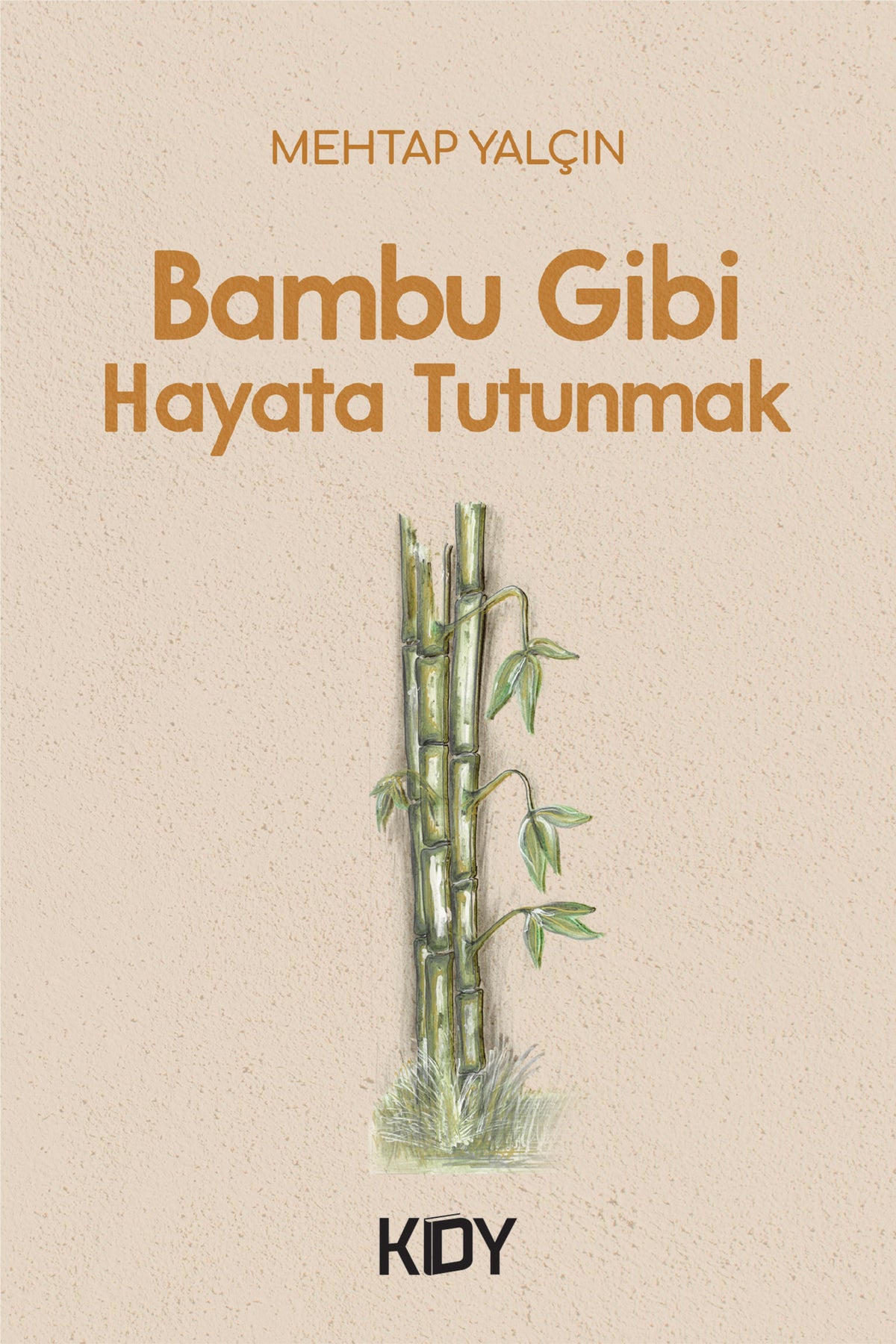 Bambu Gibi Hayata Tutunmak - Mehtap Yalçın kitap kapağı