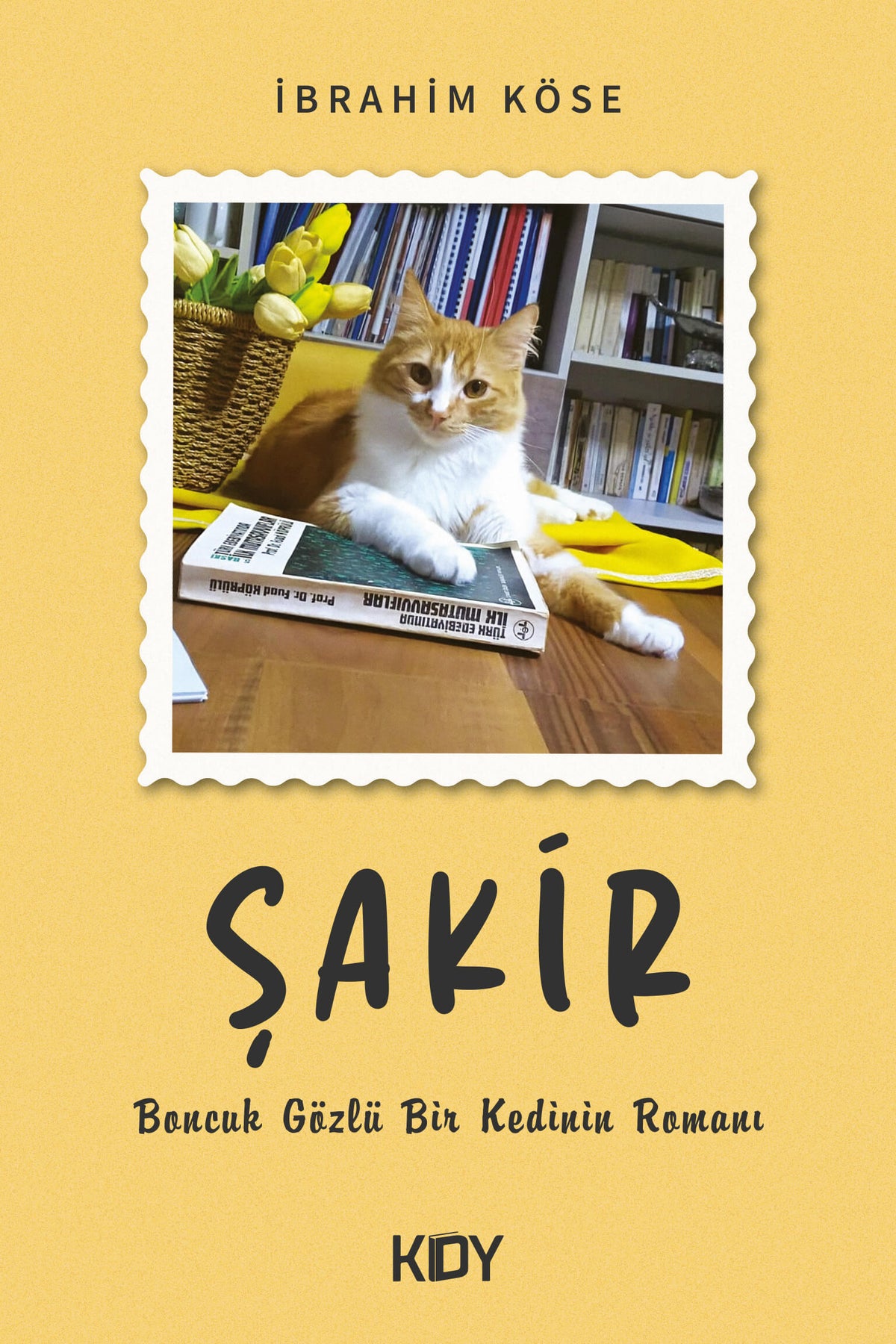 Şakir - İbrahim Köse kitap kapağı