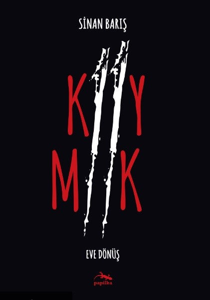 Kıymık / Eve Dönüş - Sinan Barış kitap kapağı