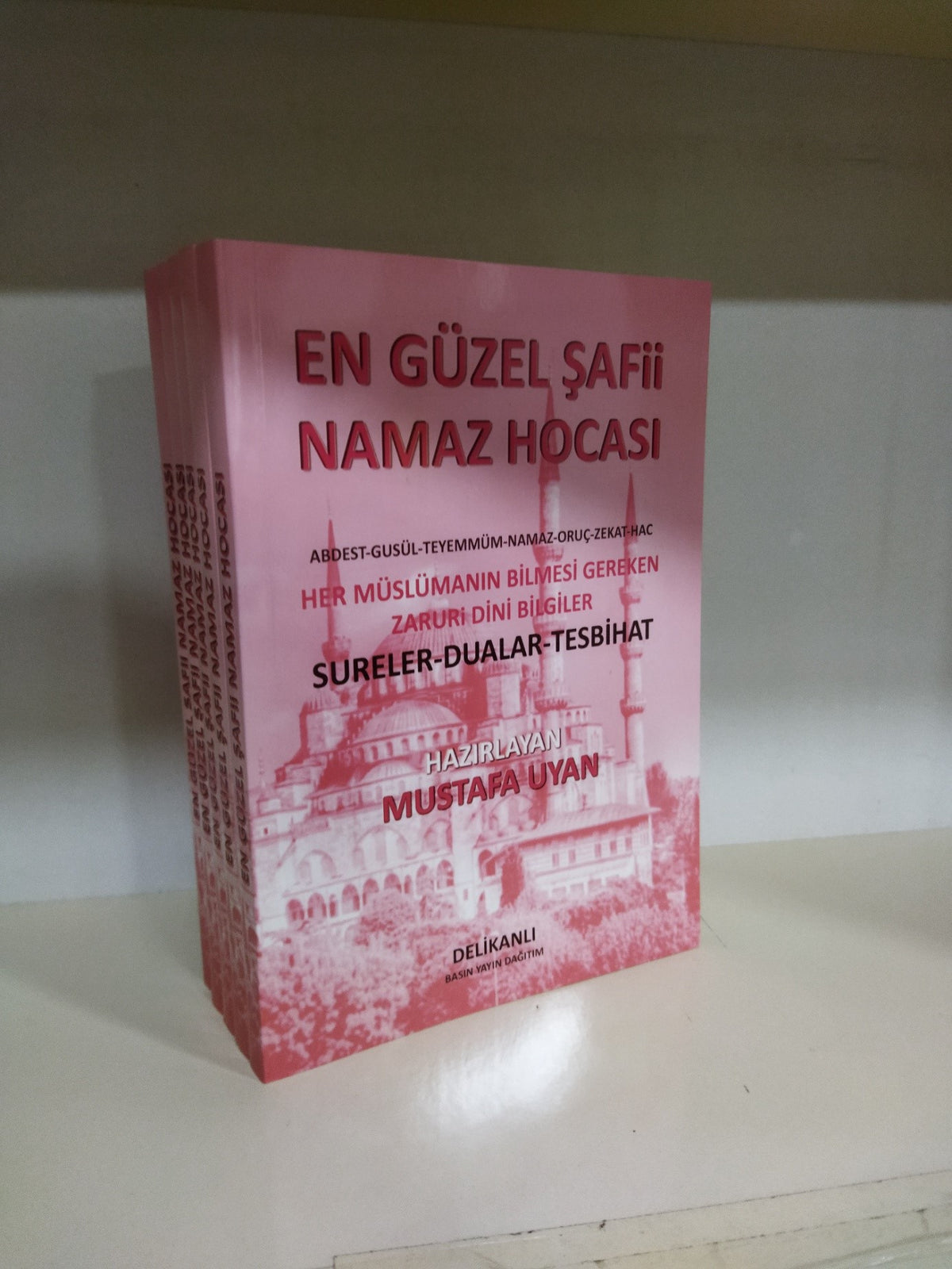En Güzel Şafii Namaz Hocası - Mustafa Uyan kitap kapağı