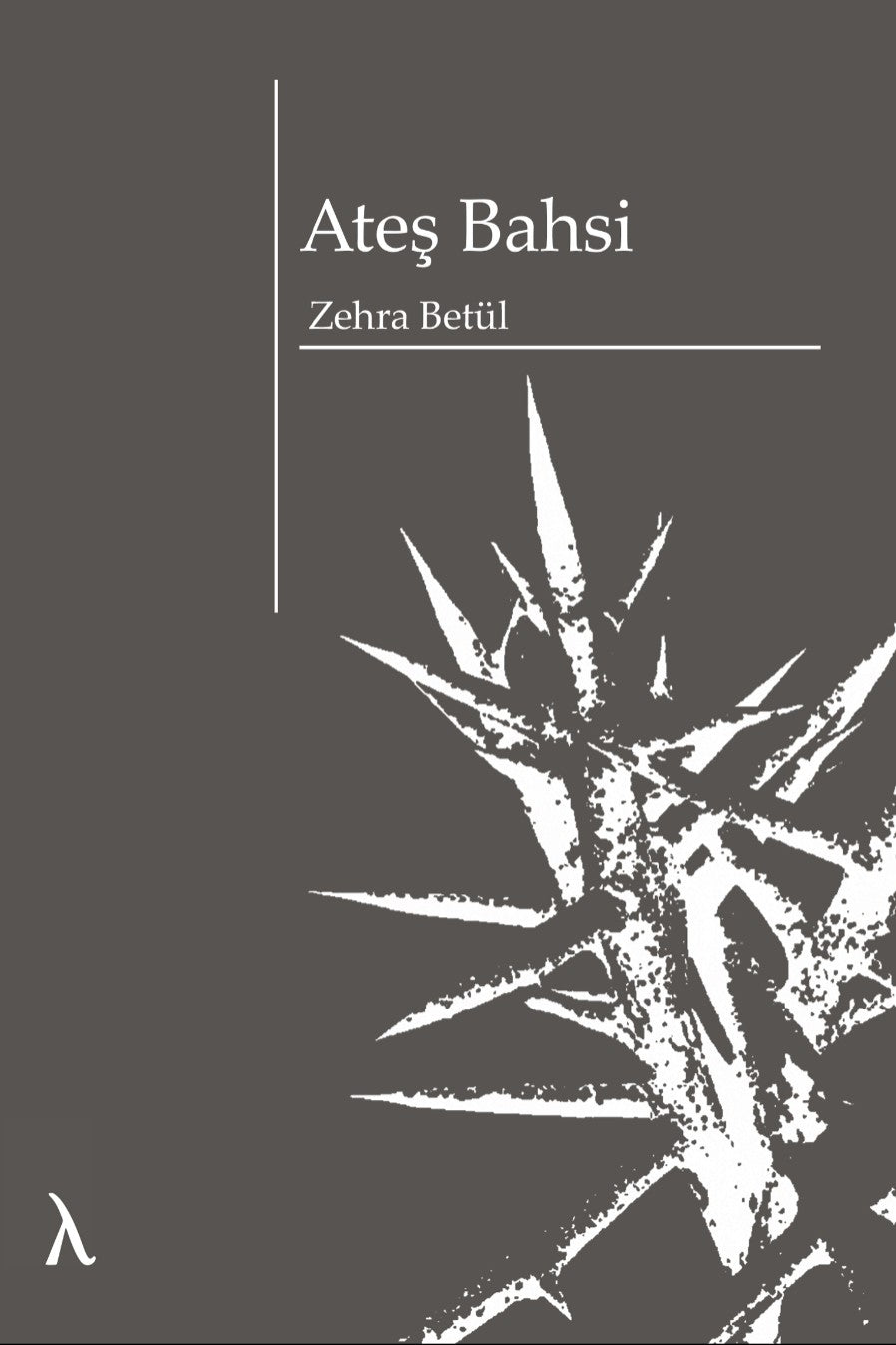 Ateş Bahsi - Zehra Betül kitap kapağı