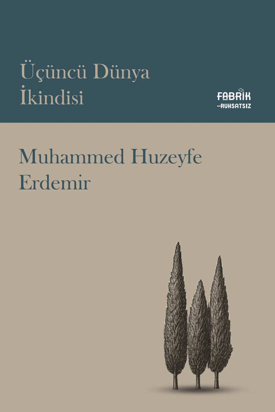 Üçüncü Dünya İkindisi - Muhammed Huzeyfe Erdemir kitap kapağı