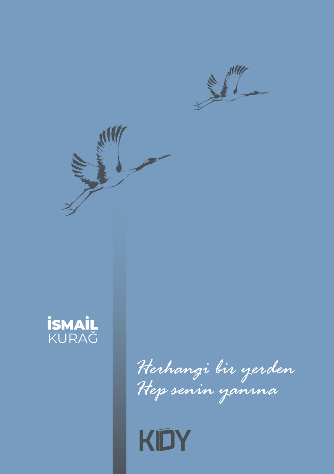 Herhangi Bir Yerden Hep Senin Yanına - İsmail Kurağ kitap kapağı
