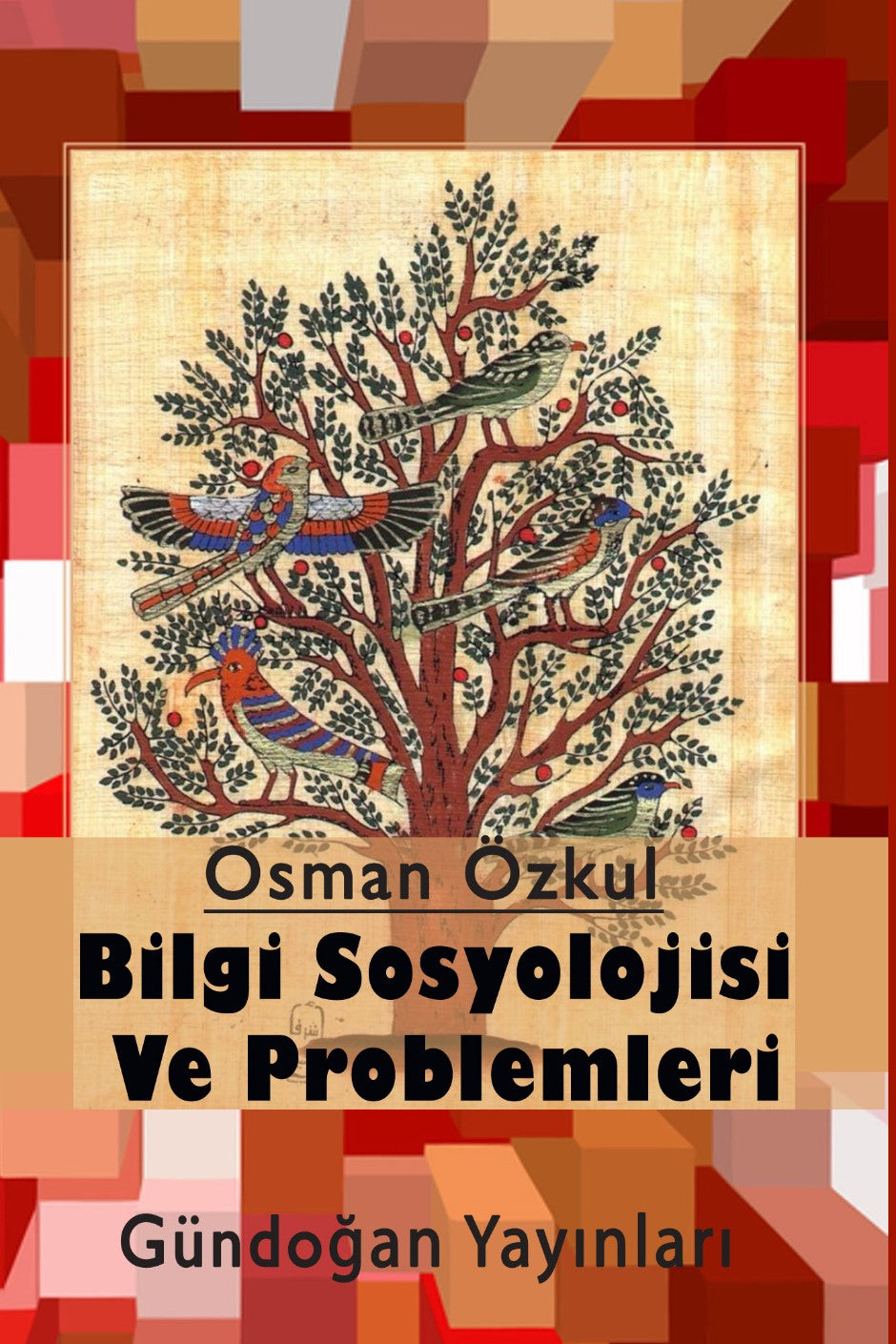 Bilgi Sosyolojisi ve Problemleri - Osman Özkul kitap kapağı