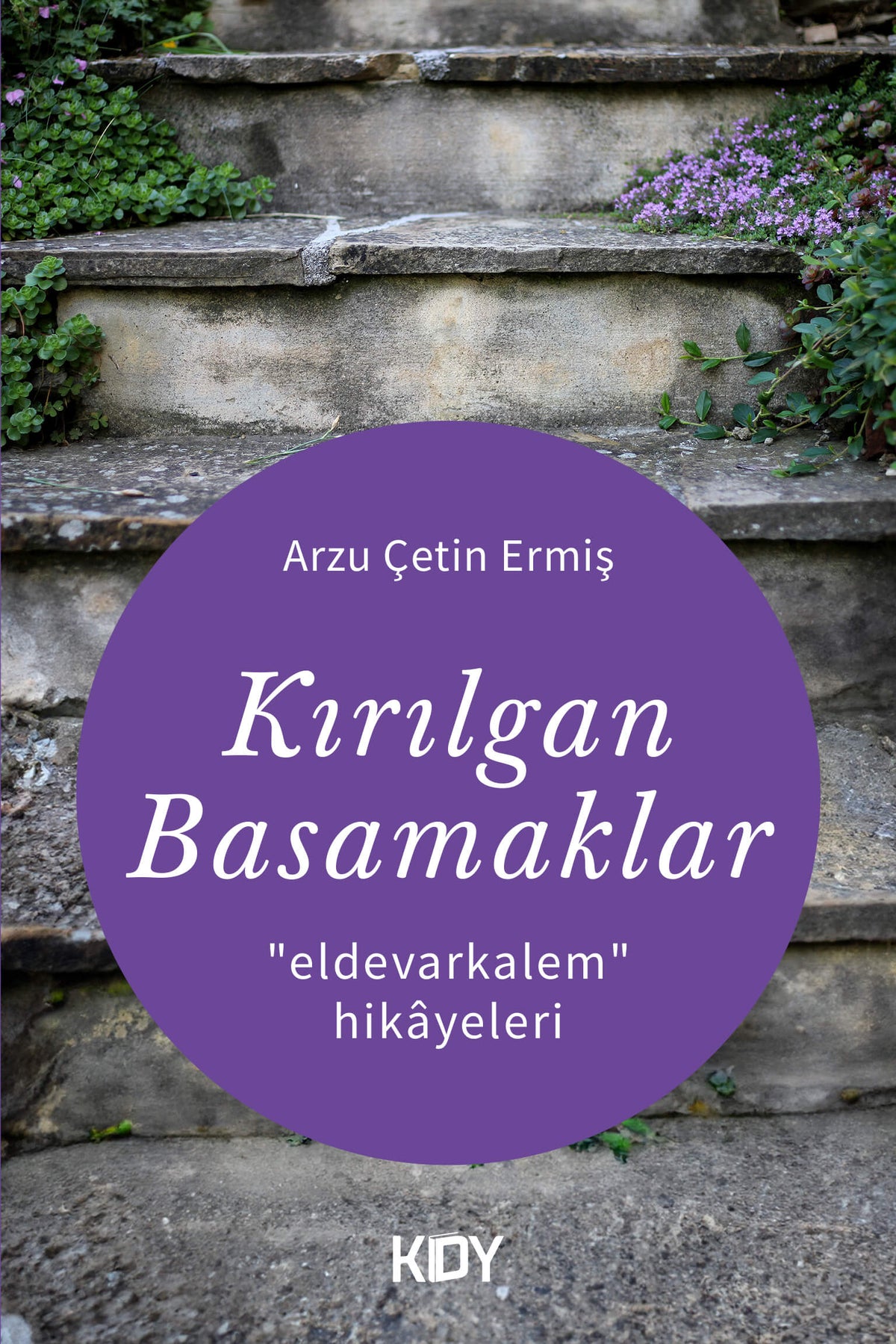 Kırılgan Basamaklar - Arzu Çetin Ermiş kitap kapağı