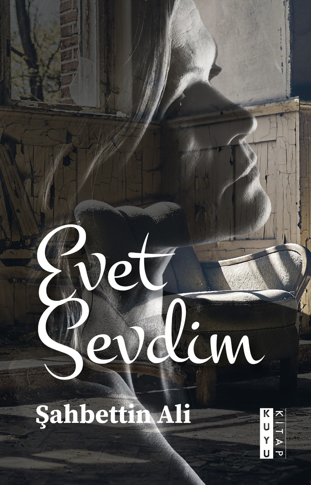 Evet Sevdim - Şahbettin Ali kitap kapağı