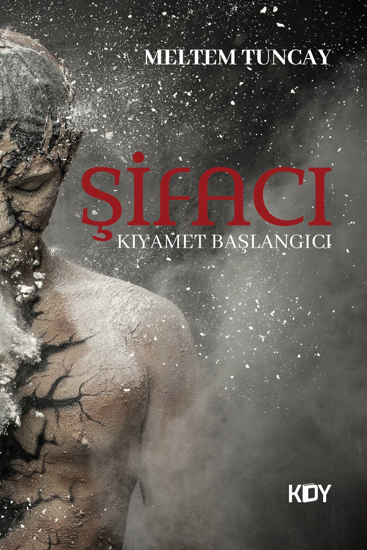 Şifacı - Meltem Tuncay kitap kapağı