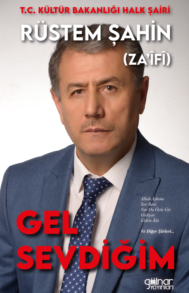 Gel Sevdiğim - Rüstem Şahin kitap kapağı