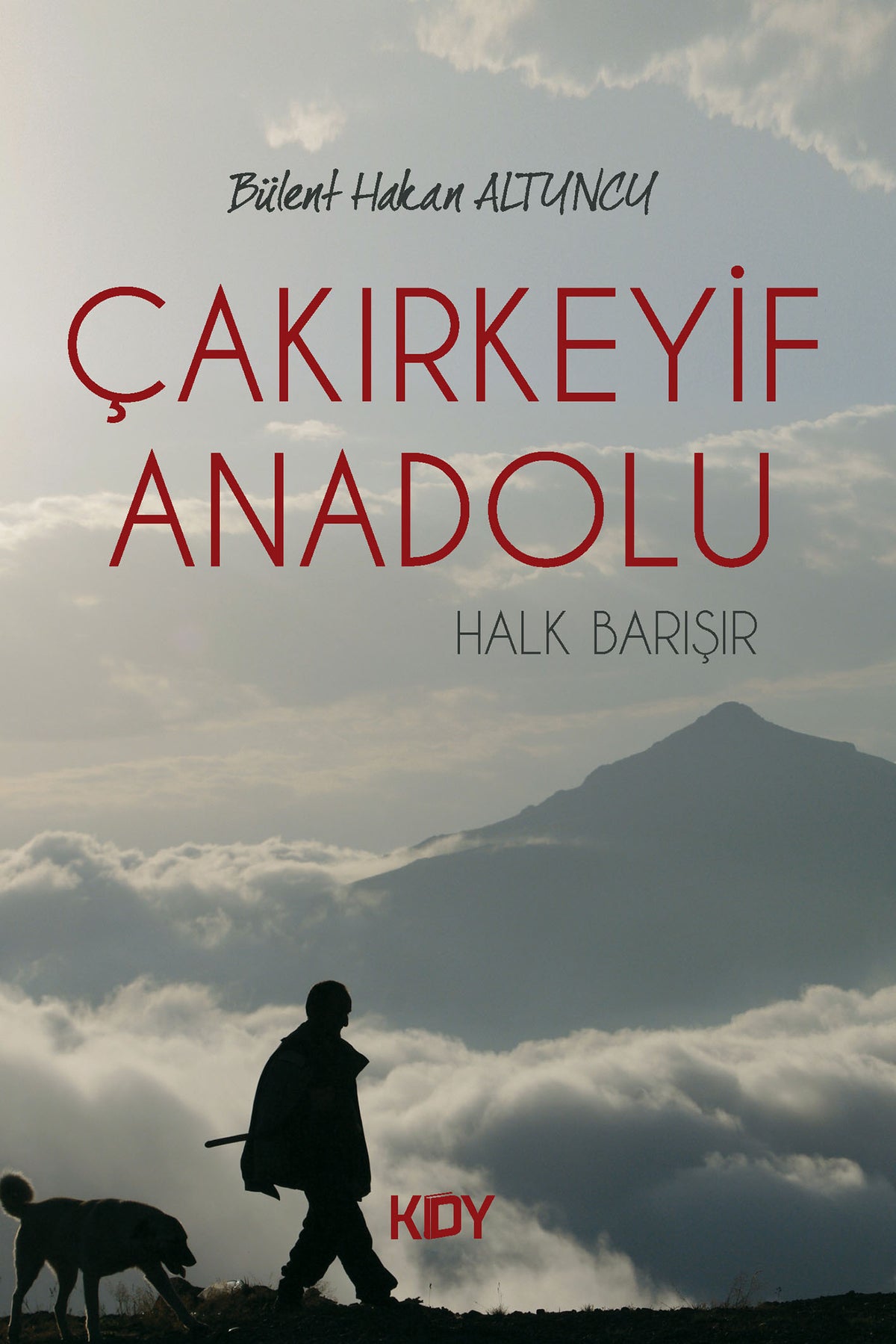 Çakırkeyf Anadolu - Bülent Hakan Altuncu kitap kapağı