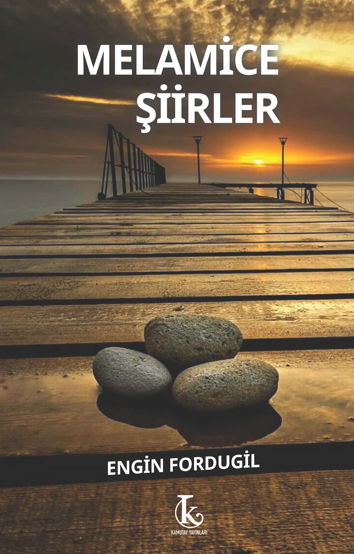 Melamice Şiirler - Engin Fordugil kitap kapağı