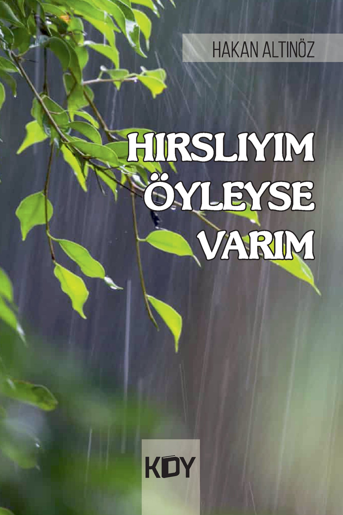 Hırslıyım Öyleyse Varım - Hakan Altınöz kitap kapağı