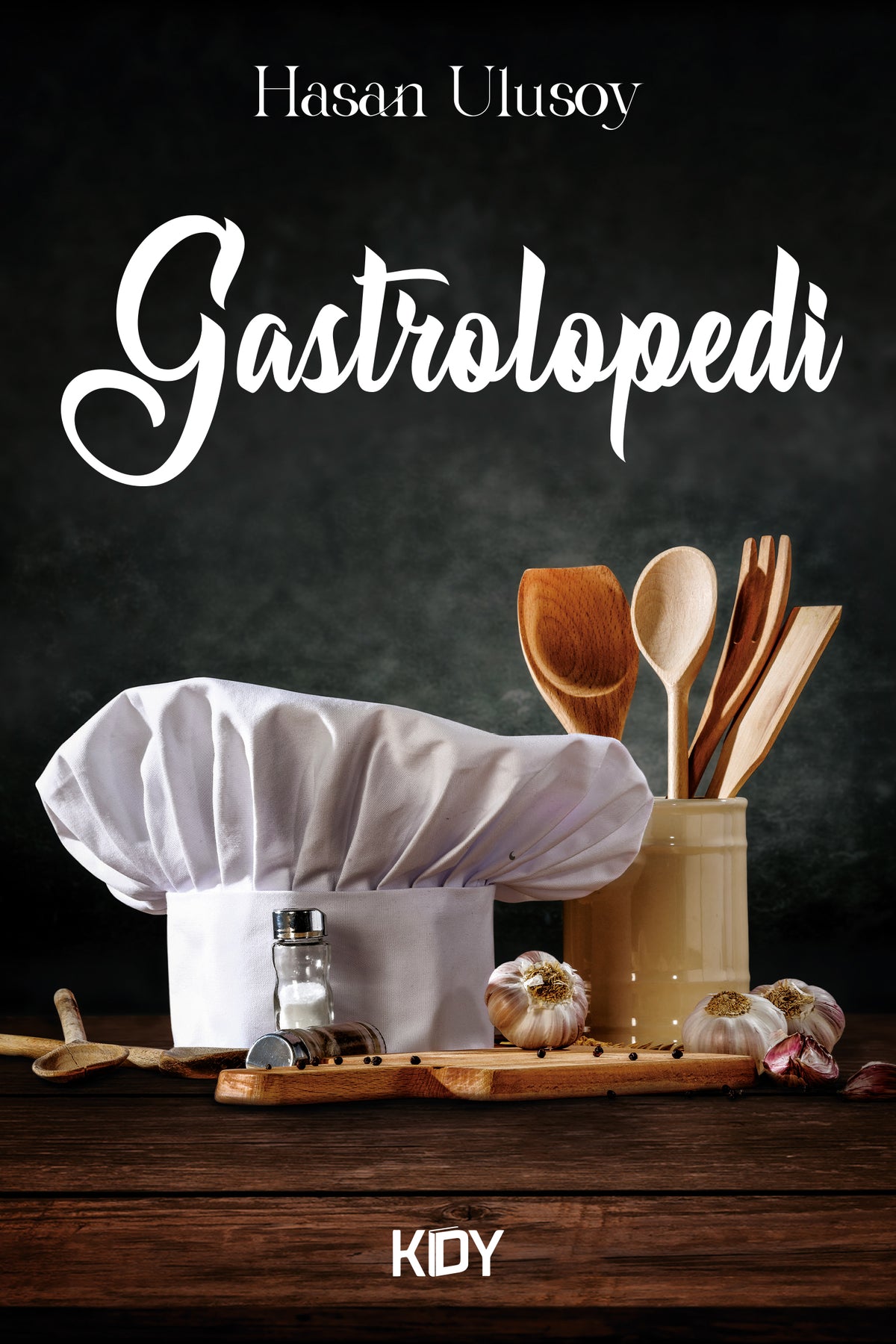 Gastrolopedi - Hasan Ulusoy kitap kapağı