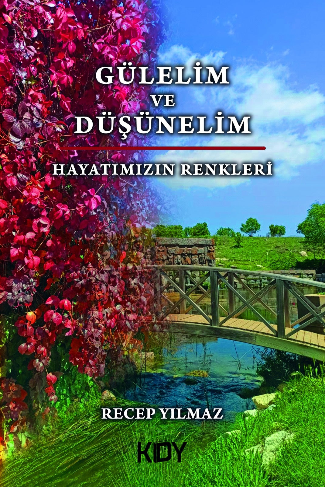 Gülelim ve Düşünelim - Recep Yılmaz kitap kapağı