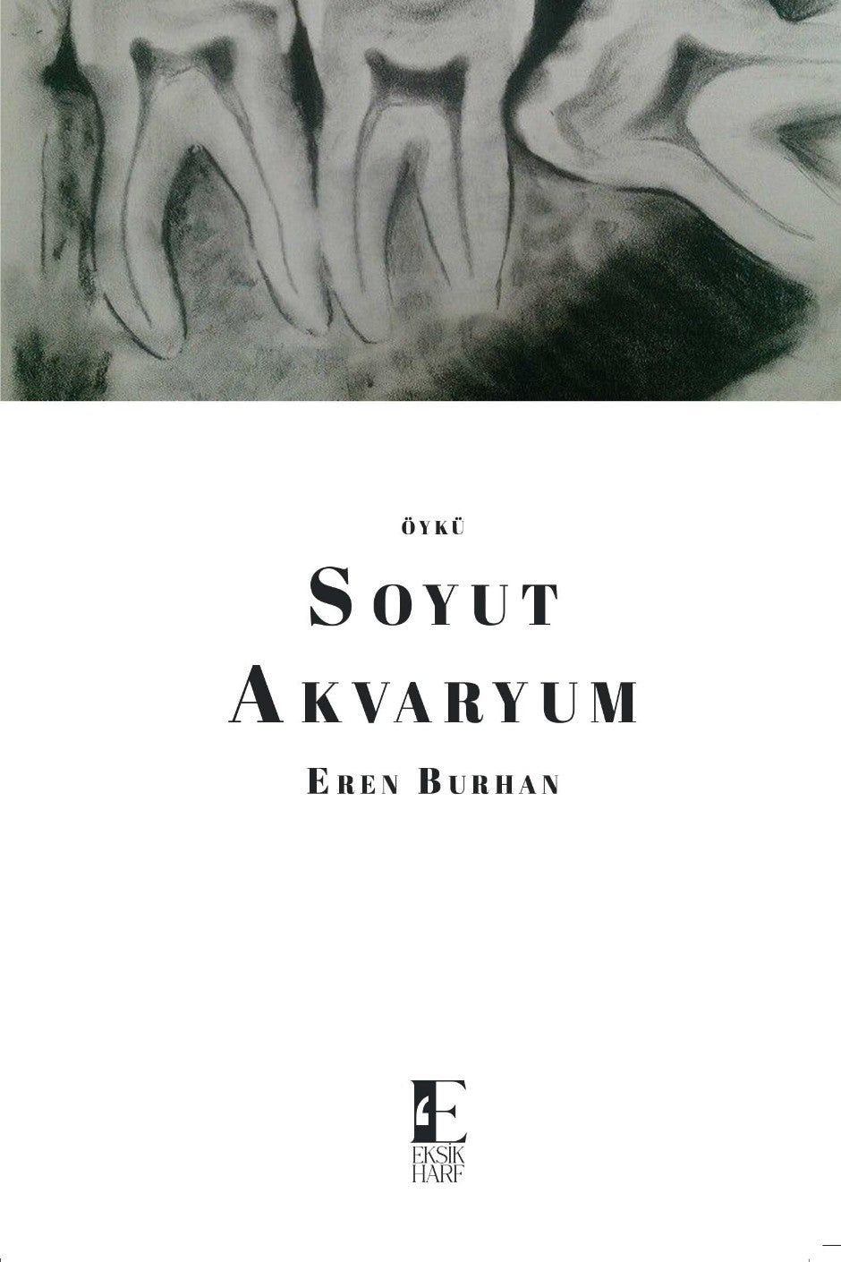 Soyut Akvaryum - Eren Burhan kitap kapağı