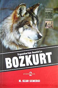 Ergenekon'dan Anadolu'ya Bozkurt / 10-A-4 - M. Ozan Semerci kitap kapağı