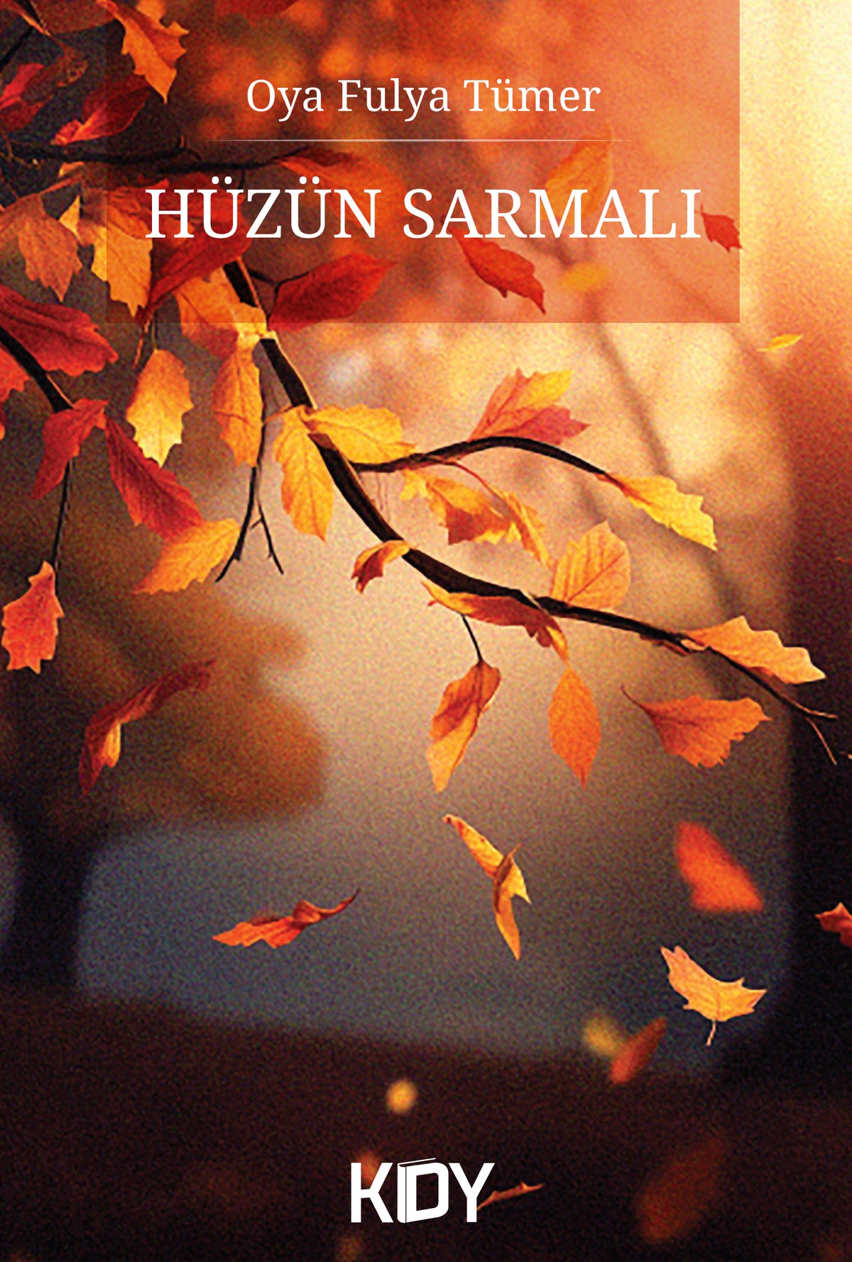 Hüzün Sarmalı - Oya Fulya Tümer kitap kapağı