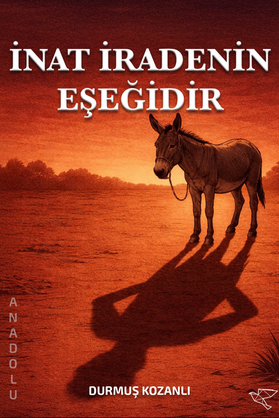 İnat İradenin Eşeğidir - Durmuş Kozanlı kitap kapağı