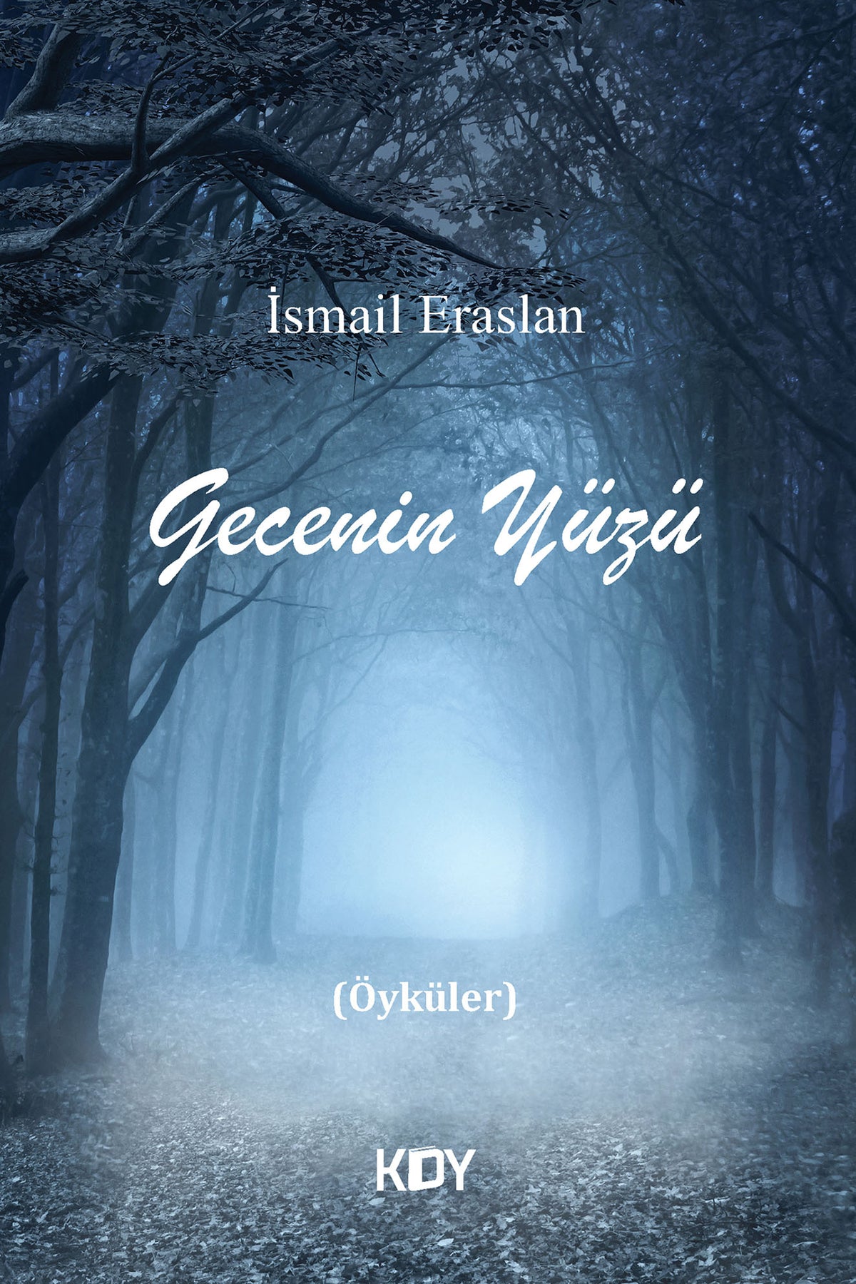 Gecenin Yüzü - İsmail Eraslan kitap kapağı