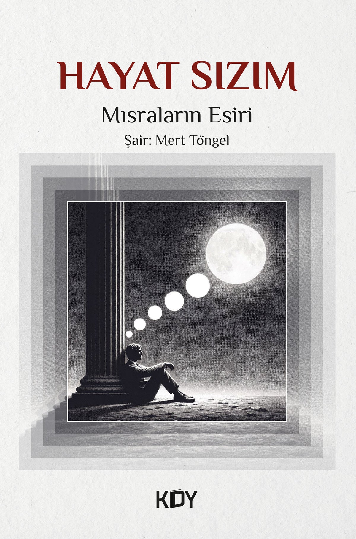 Hayat Sızım - Mısraların Esiri kitap kapağı