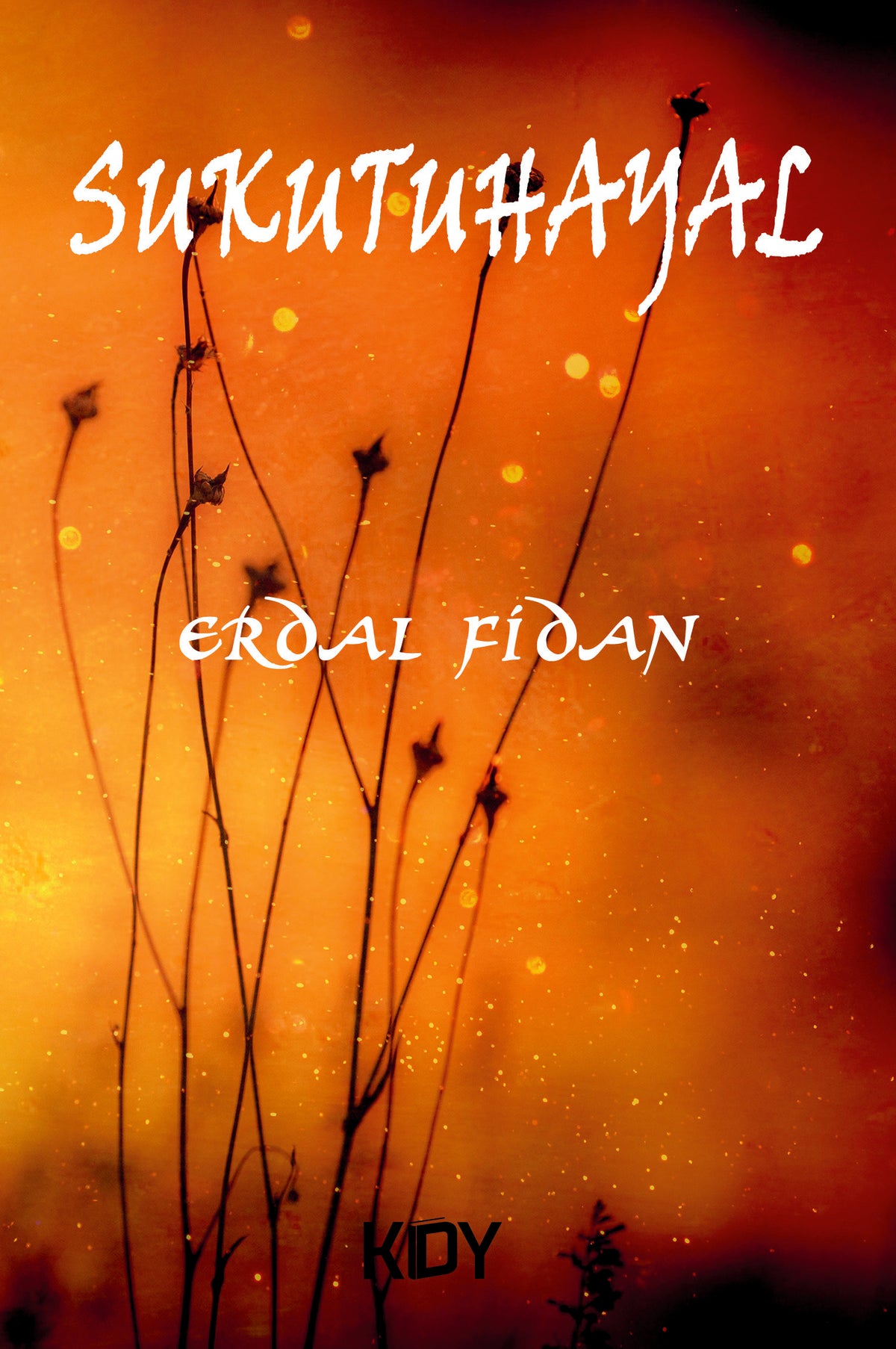 Sukutuhayal - Erdal Fidan kitap kapağı