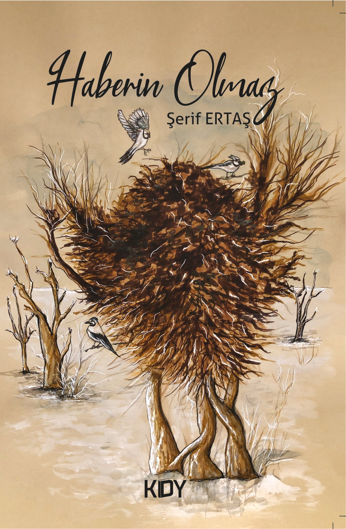 Haberin Olmaz - Şerif Ertaş kitap kapağı